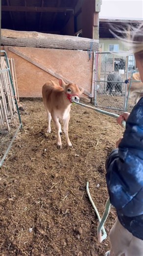 Jess | Shine Bright | Live Wild | This is how we homeschool. Ancestral skills, trial and error, cooking, chores, life skills, gardening, animal husbandry, and fun. Their... | Instagram