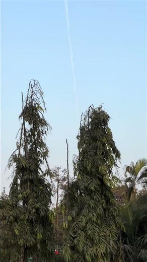 Nicco Park Children Entertainment #shorts #shortvideo