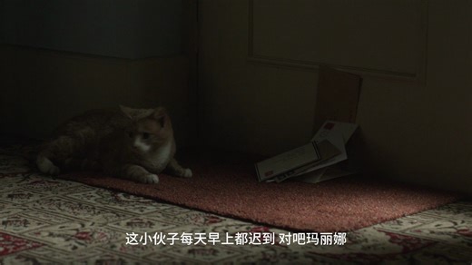 大侦探波洛s13e2 01