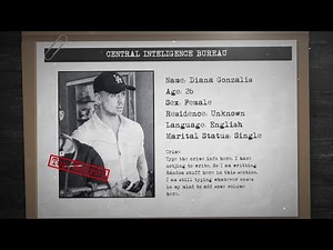 Criminal Profile: DaVinci Resolve template