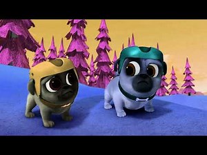 The bird is singing hello hello | Puppy dog Pals | Sponsored by Klasky 2001 effects