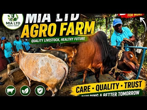 Bishwanath Miah Ltd Agro Farm | Qurbani Cow Farm Tour 2026