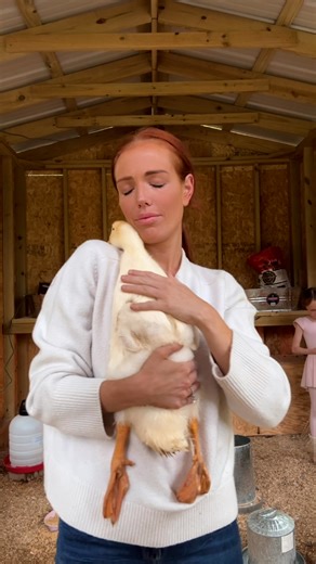 2.2M views · 95K reactions | She tries to "climb inside Mom's skin"  We spoke with Alissa about her very snuggly duck, Eleanor, and how she's insisted on cuddling into her neck ever since she was a tiny baby duck! For more sweet snuggles and happy quacks, follow Alissa on Instagram: thedo.do/alissacgore and TikTok: thedo.do/Alissacgore. | The Dodo | Facebook