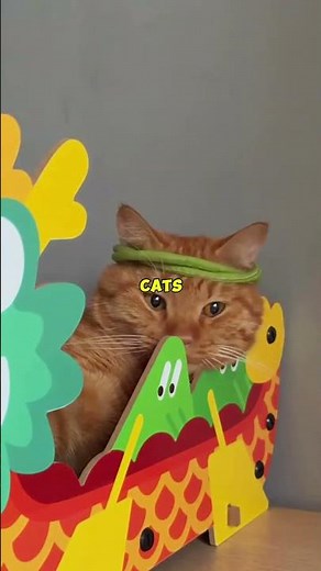 4 Amazing Facts About Orange Cats You Didn't Know! 🧡🐱