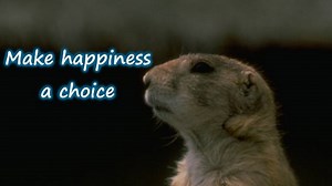 The Donnie McClurkin Show on Reels