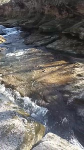 Cox Creek behind the house I grew up in on Robinhood Dr. brings back so many memories!!! | David Quillen