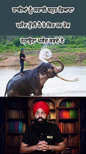 random facts part 64 #punjabi #randomfacts #randomfcts #facts #randomfect #food #funfacts | JoT Tv Australia