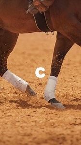 🐴 Shop Chewy for fast, free shipping on feed, tack, supplements, meds, and more. 🚚💨 | Chewy