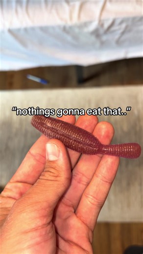 Bass fishing: “Nothing’s gonna eat that” big bait reaction
