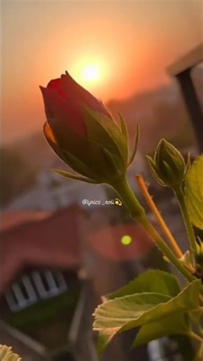 Pyarr Tumse Status ❤ Karlo Kadar Hamari ❤ Pyarr Tumse Salman Ali 🍀 Himesh Reshammiya Song ❤4k Status