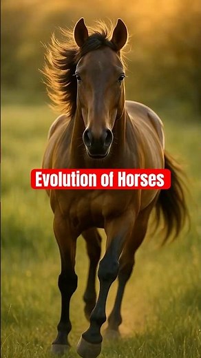 Evolution of Horse 🐎! 250 million years in 30 seconds!