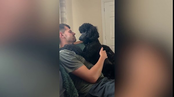 Laughter at Moment Man Who Never Wanted a Poodle Is ‘Completely Converted’