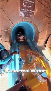 Would You Ride Through a SHARK TANK Water Slide 🦈