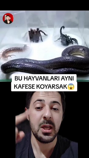 OZAN TAP TV on TikTok