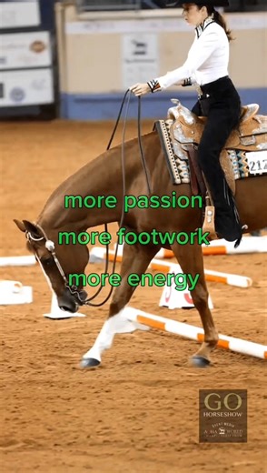 Trail class passion, footwork and energy is unmatched at the AQHA World Show 🤩 #wherethewinnersgo #letsgohorseshow #aqha #aqhaworld #aqhaworldshow #aqhaworldchampion #getthatglobe | GoHorseShow.com