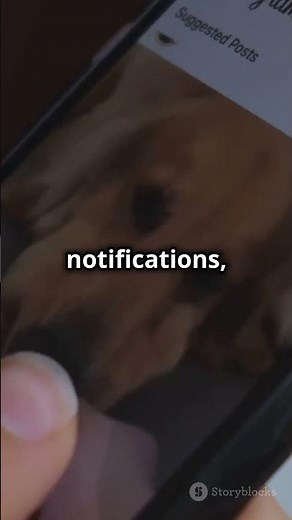 How to Save Instagram Stories Easily | Best Story Saver App for Instagram