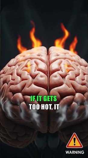Why Do We Actually Yawn? 🥱🧠