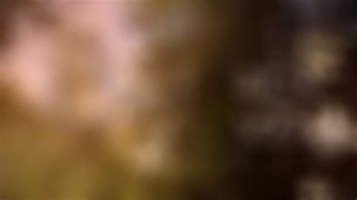 Of bets and debts theme selfdrillingsms