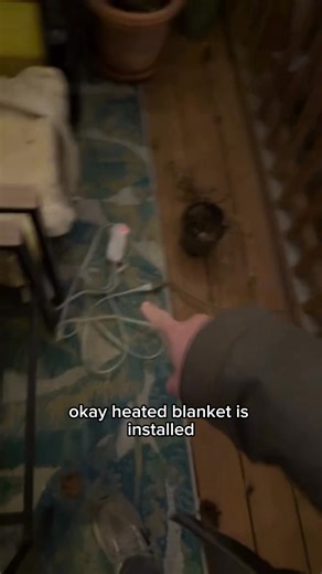 55K views · 696 reactions | Sometimes things just work out. This dog,...