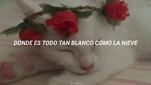 6.6K views · 255 reactions | Snow (hey oh) - Red Hot Chili Peppers Créditos a: Miranda https://youtu.be/RF-RbUXwncE Disfruta tu tarde... | The Mr. G | Facebook