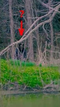 WE ENCOUNTER OUR FIRST SKIN WALKER AT SKIN WALKER RANCH #scary #paranormal #creepy #skinwalker
