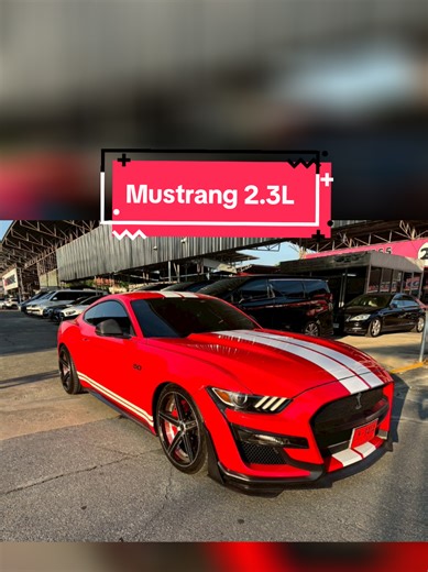Mustang 2.3L Ecoboost ปี 2017 มือสองสภาพนางฟ้า ราคาเบาๆ *🔥ราคาเดือด1,790,000บาท🔥** วิ่ง33,000โล -ชุดแต่งรอบคันGT500สวยจัด ล้อเบรคเซรามิก เคลฟร่ารอบคัน แต่งสวย ไปกว่า5แสนบาท เสียงรถไพเราะสปอร์ตสุดๆ -ระบบกุญแจ Smart Keyless Entry -ปุ่มสตาร์ท Push Start Button -เบาะนั่งคู่หน้าปรับด้วยไฟฟ้า -เครื่องเสียง วิทยุ FM CD MP3 -รองรับ Apple Carplay -Multi-Touchscreen ขนาด 8 นิ้ว -มีNavigator นำทิศทาง -ระบบเบาะอุ่น เย็น -กล้องหลัง Park Sensor -ระบบเชื่อมต่อ Bluetooth USB การันตรีความสวยและใหม่จัด “ ราคาเพ