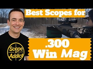 4 Best Scope For .300 Win Mag in 2026