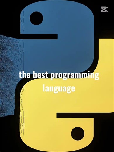 the best programming language 🔥🔥🔥