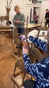 🎄What a fantastic day on Saturday weaving willow deer with the most lovely group of returners and new weavers ! 🦌✨ So much creativity, patience and laughter and the most wonderful creations at the end, looking forward to doing it all over again this weekend 🤩 https://www.rachelharwoodwillow.co.uk/ #willowdeer #willowsculpture #willowweaving | Rachel Harwood Willow