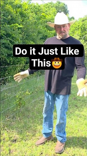 6 Strand Barbed Wire Fence Stops Cattle!🤠 #homestead #fencebuilding #farming
