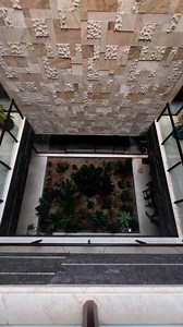 8.7K views · 67 reactions | Pinky playing in our atrium garden | Kify Hospital | Facebook