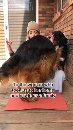 It’s our humans birthday ♥️ | Grizzly Bane