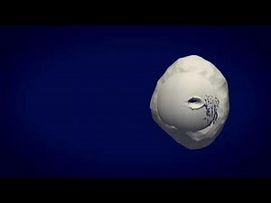 Simulating an impact crater on an asteroid