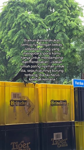 Quotes: Embrace Freedom and Let Go