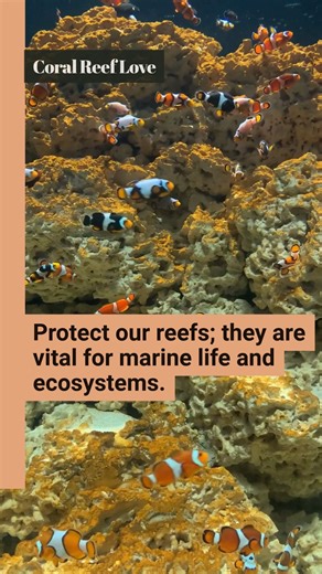 🐠 Let’s dive into World Reef Awareness Day! How are you helping protect our coral reefs today? Drop your eco-friendly actions below! #WorldReefAwarenessDay | City of Miami Government