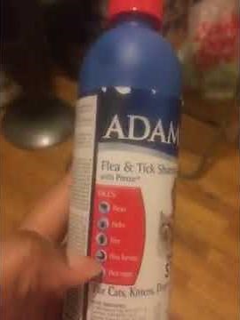 Adams Plus Flea & Tick dog Shampoo Review | Go Pets Zone