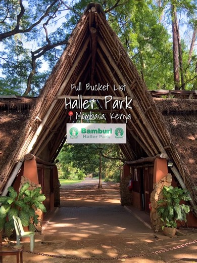 You don’t realize how much there is to do at Haller Park… until you start ticking things off. For a full day at Haller Park, get ready to feed a giraffe up close, watch hippos and crocodiles at feeding time, take a scenic 30-minute nature walk through lush trails, step into the butterfly sanctuary, and soak in the beautiful foliage that makes you feel like you are in a forest. Once a limestone quarry, Haller Park in Mombasa, Kenya is now a thriving green escape where wildlife, conservation, and 