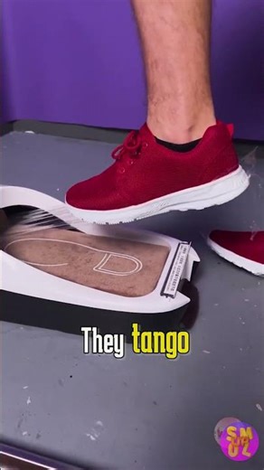 Safety Slippers Tested #funny