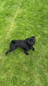 1.9K views · 75 reactions | Oh I had a fab question today about...