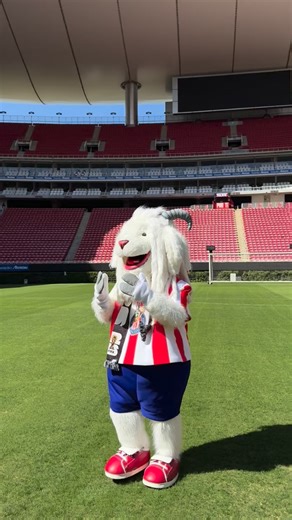 167K views · 27K reactions |  ¡Miren quiénes están en casa!  #Somos26 #FIFAWorldCup #SomosGuadalajara | Chivas | Facebook
