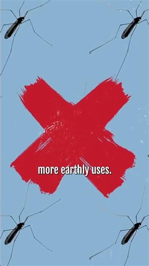 Here's why so many porches have blue ceilings! #haintblue #gullahgeechee