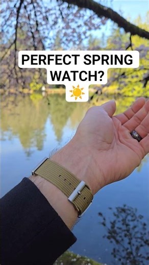 Took the Citizen Promaster Nighthawk out on a sunny walk today. Loving it on a NATO strap. #watches