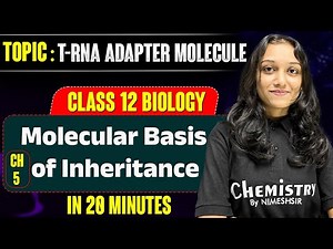 T-RNA Adapter Molecule in 20 Minute | CH : 5 Molecular Basis of inheritance | Class 12 BIOLOGY