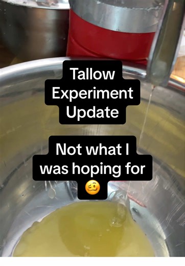 Tallow Experiment Update: Learning Through the Process