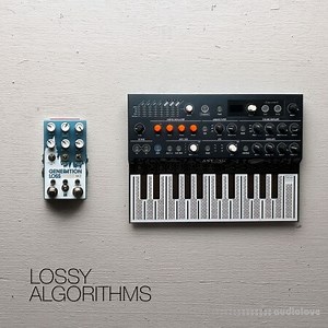 David Hilowitz Lossy Algorithms Patreon Exclusive Decent Sampler Synth Presets