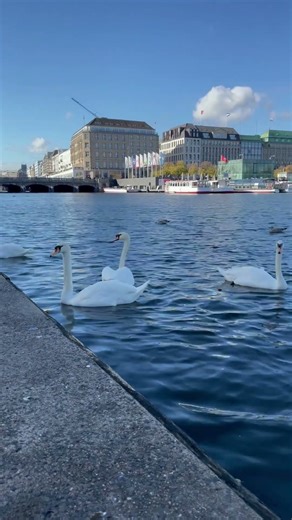 A Prayer for Germany