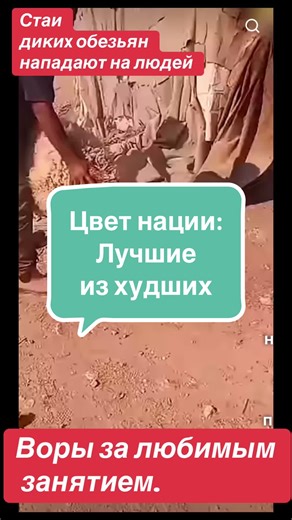 Vidéos de fenix (@fenix.lll) avec Warum? (Score I) - Tic Tac Toe