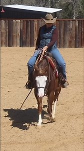 Check out Jenna and Dually on last week’s Ranch Versatility episode! #trailhorse #horsetraining #horsevideos #ranchversatility #ranchhorseversatility #ranchriding #horsetrainingtips | HORSEpro.tv