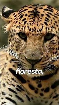 10 FATOS INSANOS SOBRE A AMAZÔNIA EM 1 MINUTO| #curiosidades