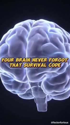 You Don't Fear The Dark — You Fear What Your Brain Thinks Is In It